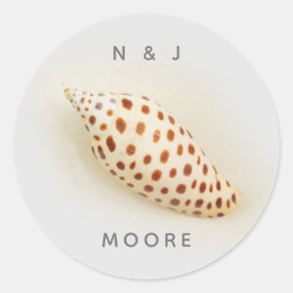 Elegant Tropical Junonia Florida Beach Shell Name Classic Round Sticker