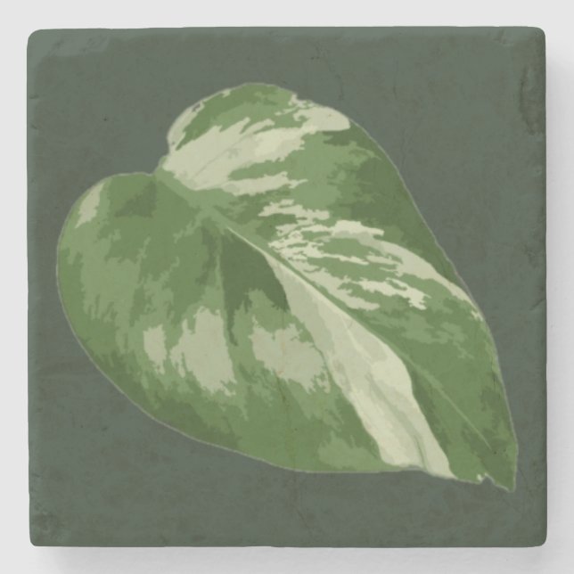 Elegant Tropical Leaf – Rare Plant Art Stone Coaster (Front)