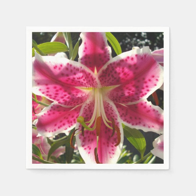 Elegant tropical pink flowers classic lily napkin (Front)