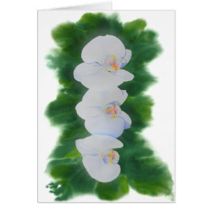 Elegant tropical white watercolor orchid painting