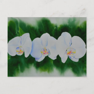 Elegant tropical white watercolor orchid painting  postcard