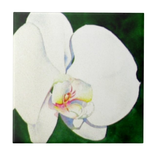 Elegant tropical white watercolor orchid painting  tile (Front)