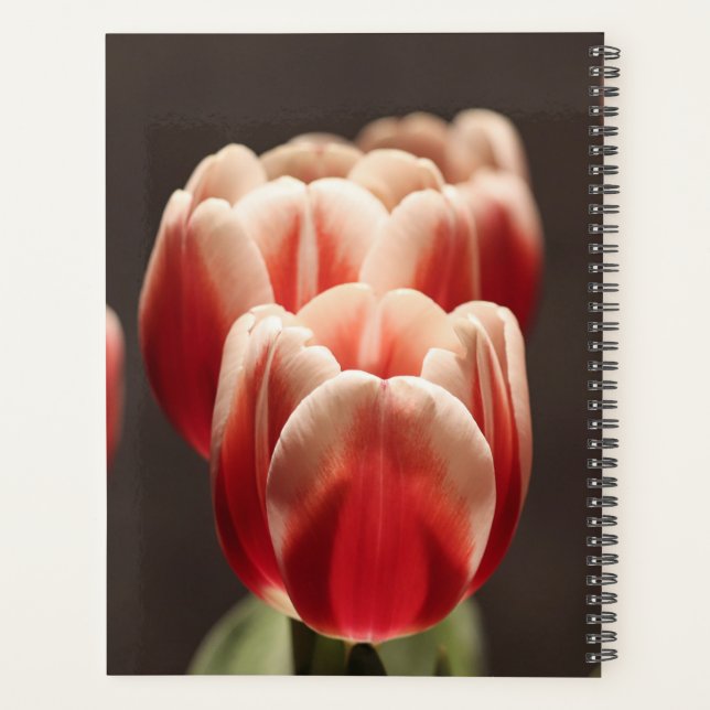 Elegant Tulip and Rose Floral Flowers Photography Planner (Back)