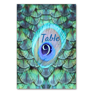 Elegant Vibrant Teal Peacock Feather Wedding Table Number