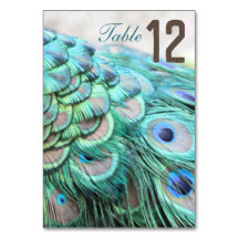 Elegant Vibrant Teal Peacock Feather Wedding Table