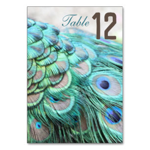 Elegant Vibrant Teal Peacock Feather Wedding Table Table Number