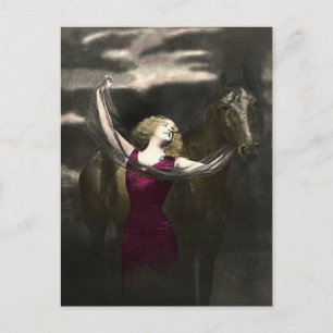 Elegant Vintage Beauty and the Black Stallion Postcard