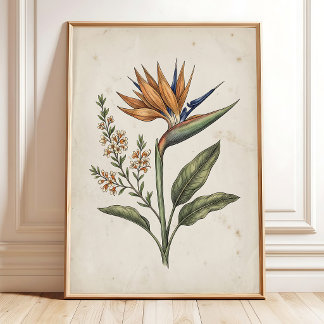 Elegant Vintage Bird of Paradise Poster