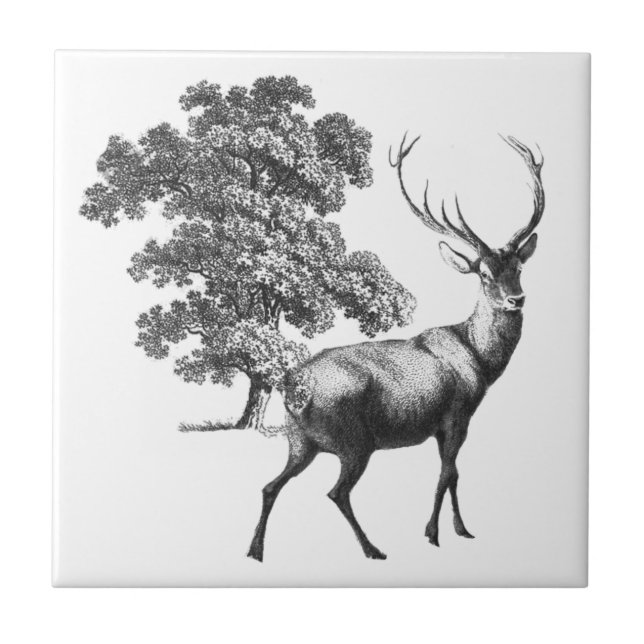 Elegant Vintage Black White Deer Toile Ceramic Tile (Front)