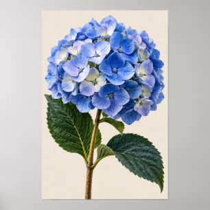 Elegant Vintage Blue Hydrangea Botanical Wall Art