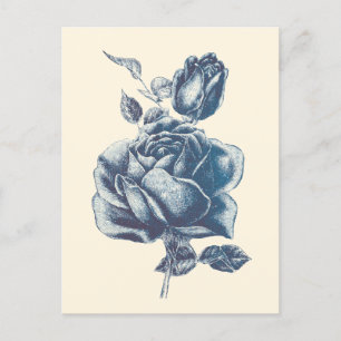 Elegant Vintage Blue Rose  Postcard