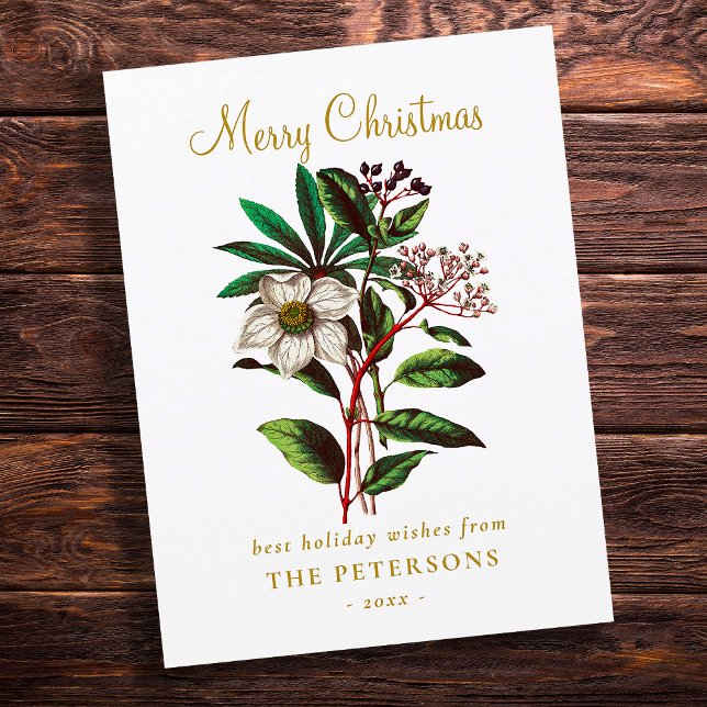 Elegant Vintage Botanical Christmas Rose Flower (Creator Uploaded)