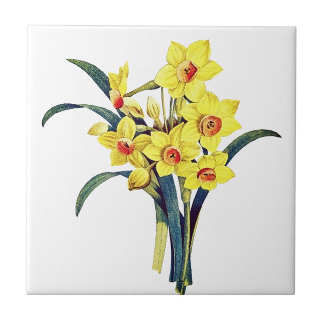Elegant Vintage Botanical Flowers Yellow Daffodils Ceramic Tile (Front)