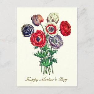 Elegant Vintage Botanical Poppy Anemone Postcard