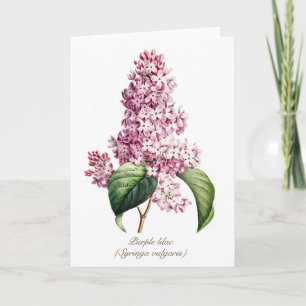 Elegant Vintage Botanical Purple Lilac Blossom Holiday Card