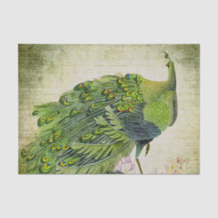 Elegant Vintage Green Peacock Tissue Paper