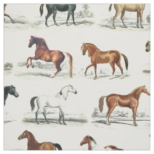 Elegant Vintage Horse Breeds Fabric
