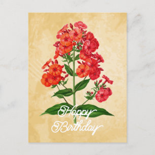 Elegant Vintage Hybrid Phlox Flower Happy Birthday Postcard