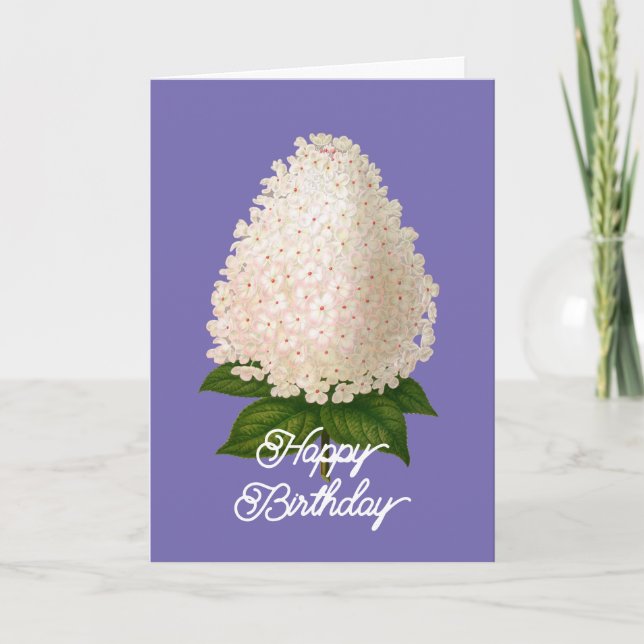Elegant Vintage Hydrangea Paniculata Birthday Card (Front)