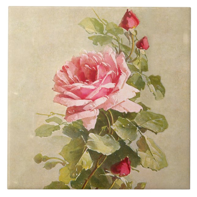 Elegant Vintage Pink Roses Ceramic Tile (Front)