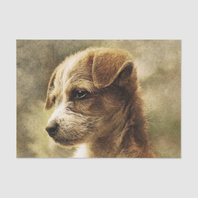 Elegant vintage puppy photo tissue paper (Front)