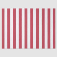 Elegant Vintage Red and White Striped Pattern