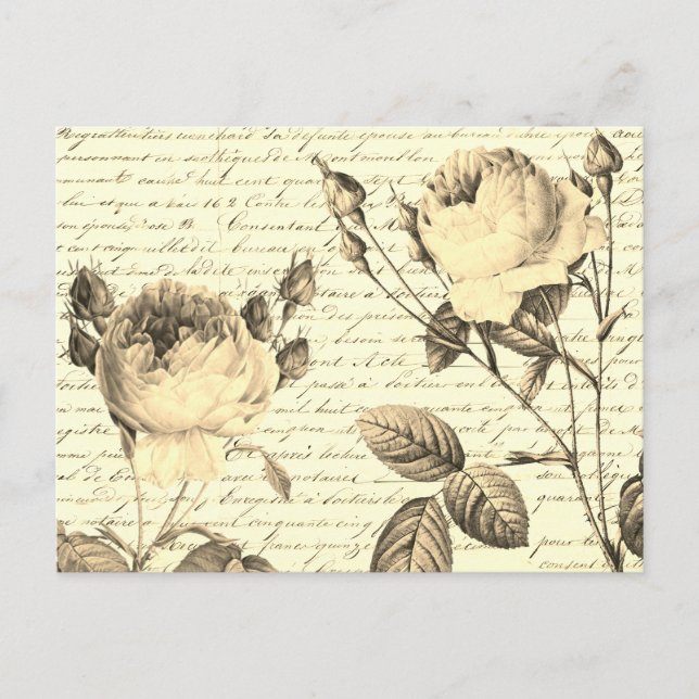 Elegant Vintage Roses on Handwriting French Script Postcard (Front)
