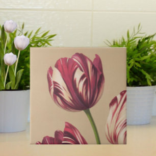 Elegant Vintage Tulip Art Floral Botanical Ceramic Tile