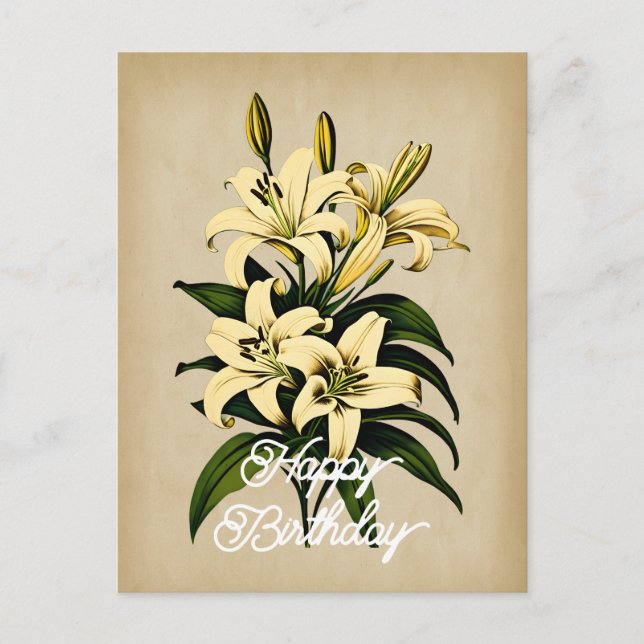 Elegant Vintage White Lily Flower Happy Birthday Postcard (Front)
