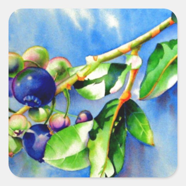Elegant watercolor Blueberry painting blue fruit Square Sticker (Front)