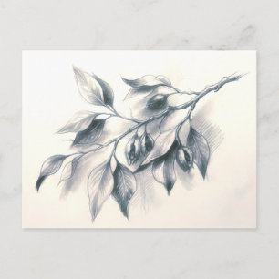 Elegant Watercolor Olive Branch Greeting Card