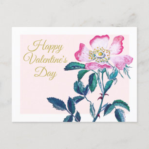 Elegant Watercolor Wild Rose Flower Valentine Postcard