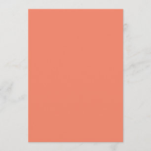 Elegant Wedding Essentials Summer & Year-Round Program