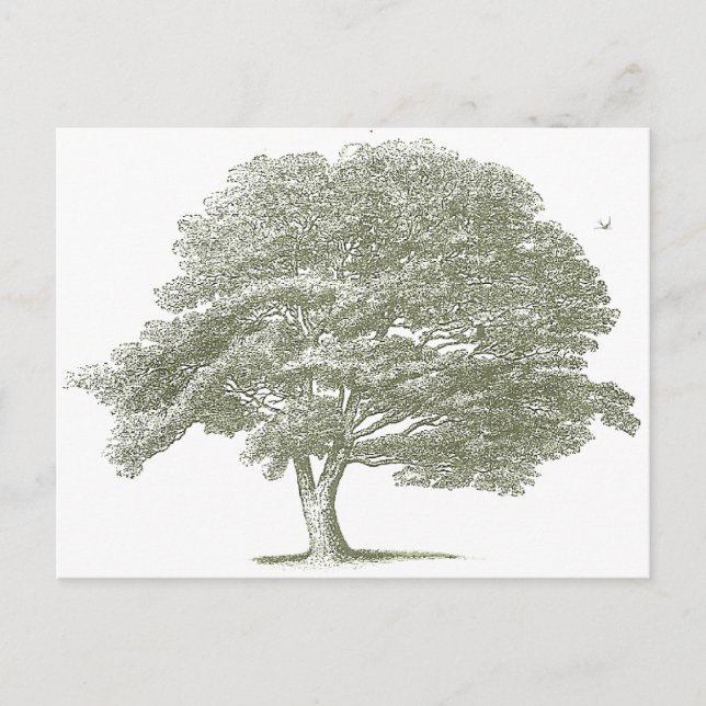 Elegant Wedding Tree Graphic Template Postcard (Front)