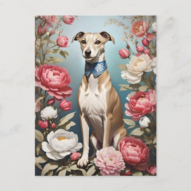 Elegant Whippet Pink Peony Flowers Blue Background Postcard (Front)