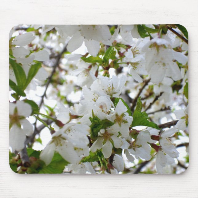 Elegant White Blossom white flowering tree Mouse Pad (Front)