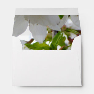 Elegant white blossoms white florals white flowers envelope