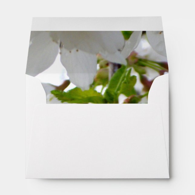 Elegant white blossoms white florals white flowers envelope (Back (Bottom))
