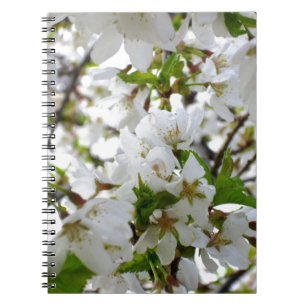Elegant white blossoms white florals white flowers notebook