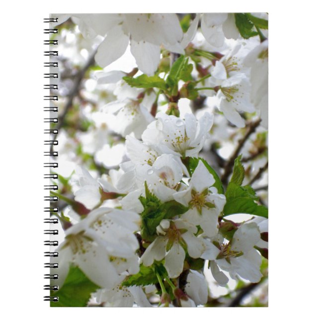 Elegant white blossoms white florals white flowers notebook (Front)