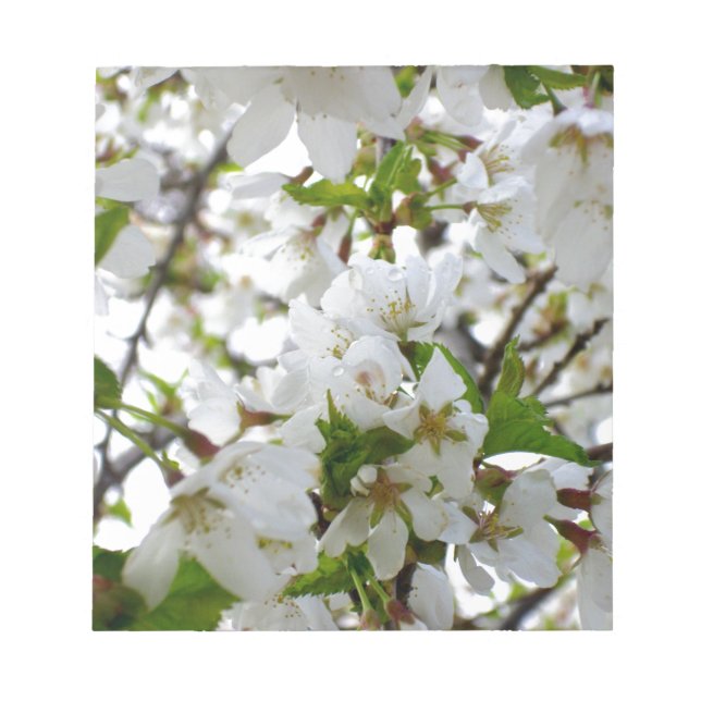 Elegant white blossoms white florals white flowers notepad (Front)