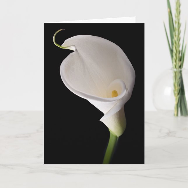 Elegant white calla card (Front)