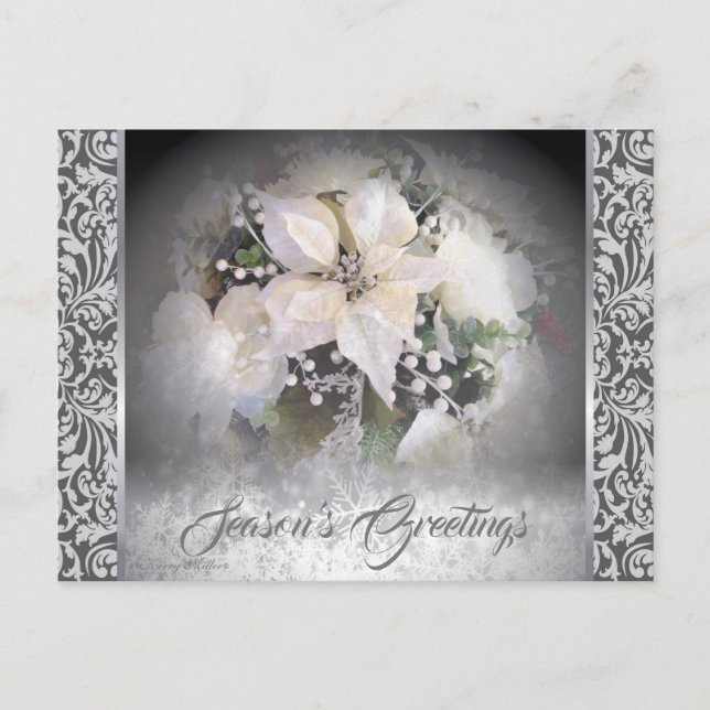 Elegant White Christmas Poinsettia Postcard (Front)