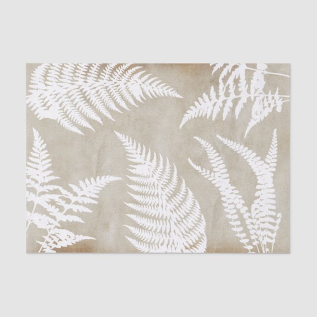 Elegant White Fern on Kraft Paper (Front)