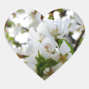 Elegant white floral blossom photo heart sticker