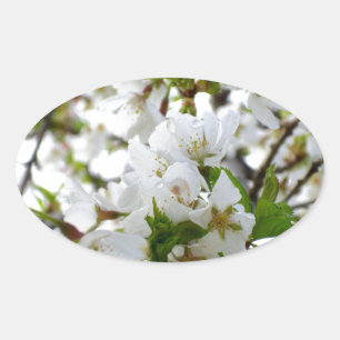Elegant white floral blossom photo oval sticker