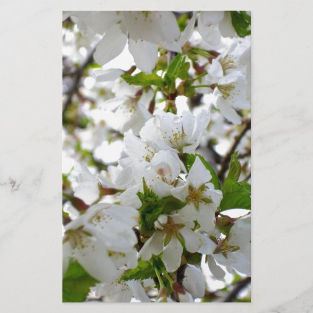 Elegant white floral blossom photo stationery (Front)