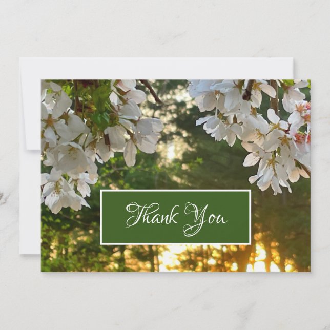 Elegant white floral tree buds sunrise  invitation (Front)