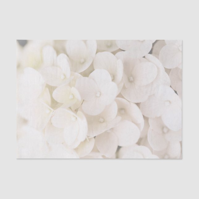 Elegant White Flower Petals Floral Tissue Paper (Front)