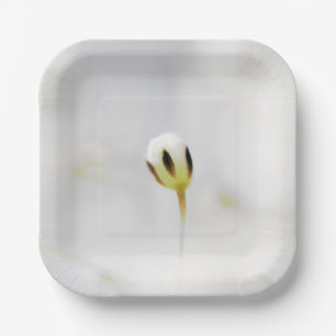 Elegant White Flower Print Paper Plate